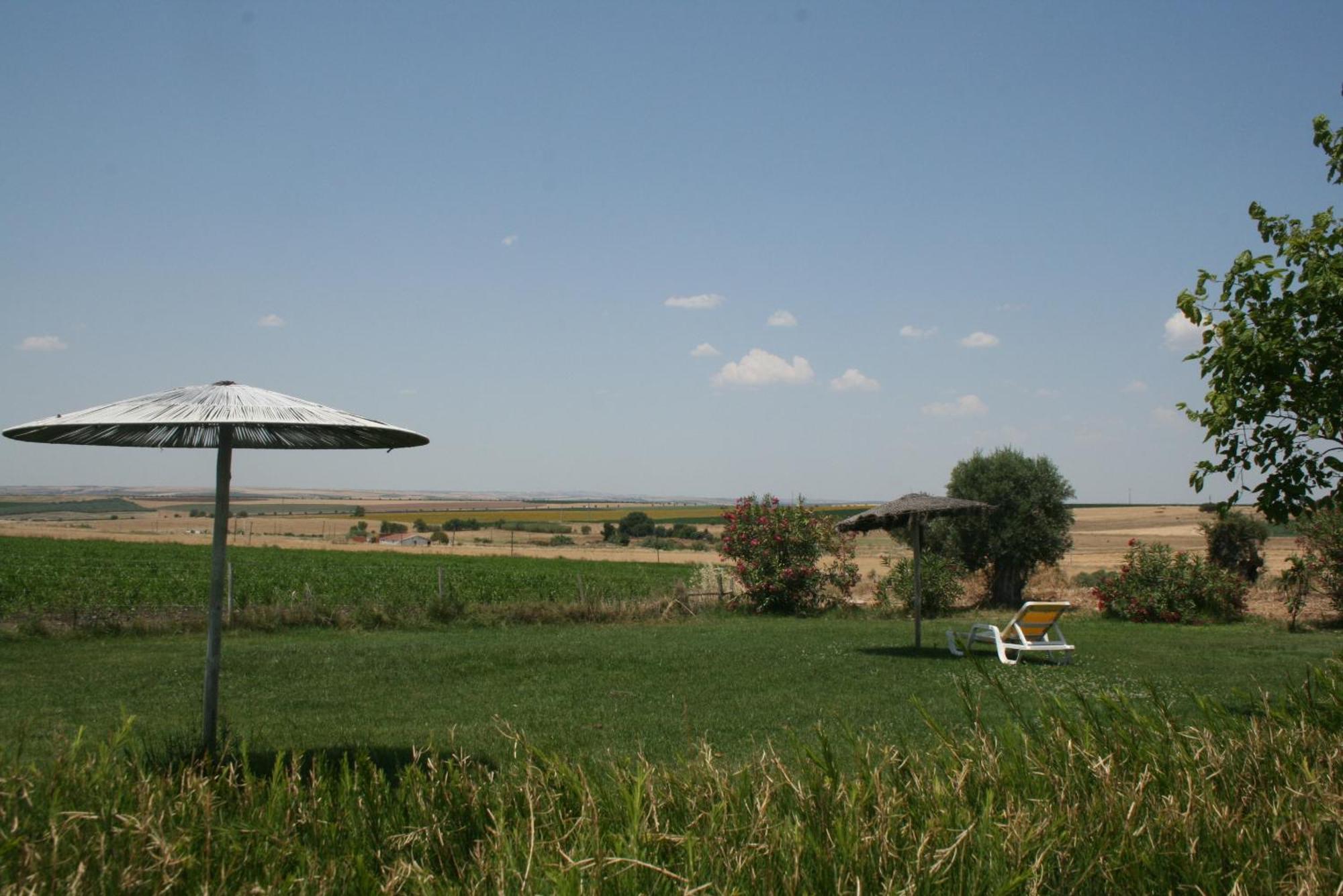 Monte Da Morena Agro-Turismo Serpa Exteriör bild