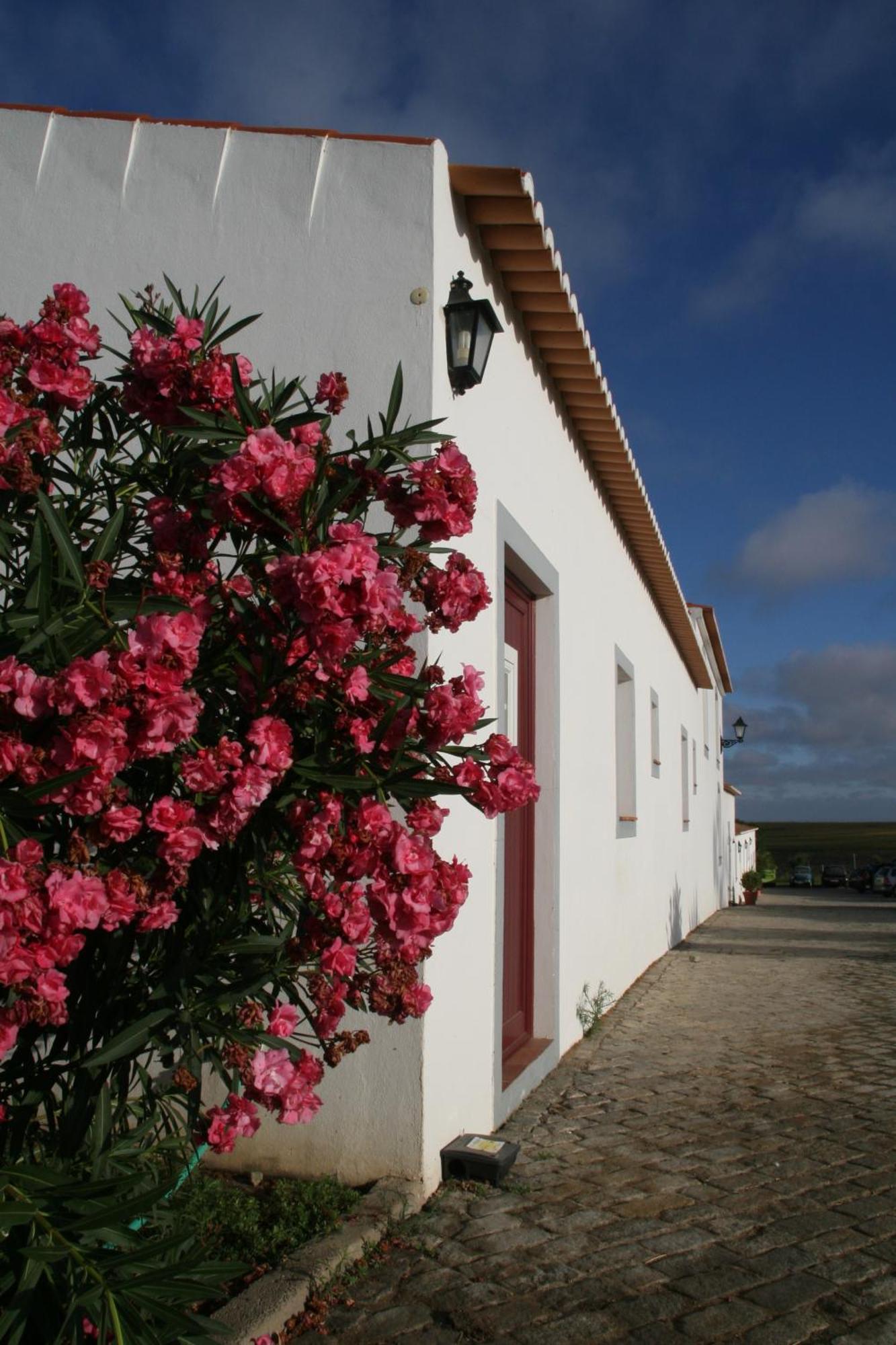 Monte Da Morena Agro-Turismo Serpa Exteriör bild