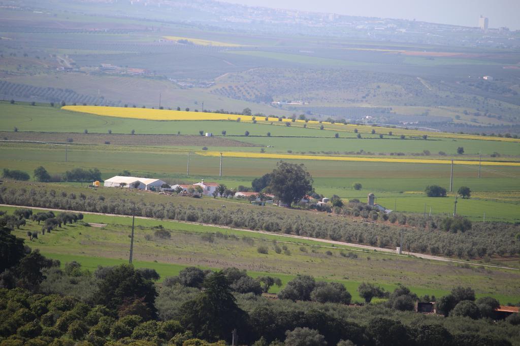 Monte Da Morena Agro-Turismo Serpa Exteriör bild